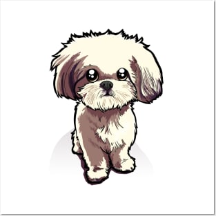 Shih Tzu Posters and Art